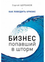 Бизнес, попавший в шторм. Как победить кризис