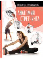 Анатомия стретчинга