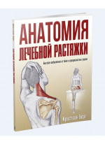 Анатомия лечебной растяжки. Быстрое избавление от боли и профилактика травм