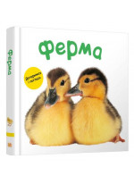 Ферма