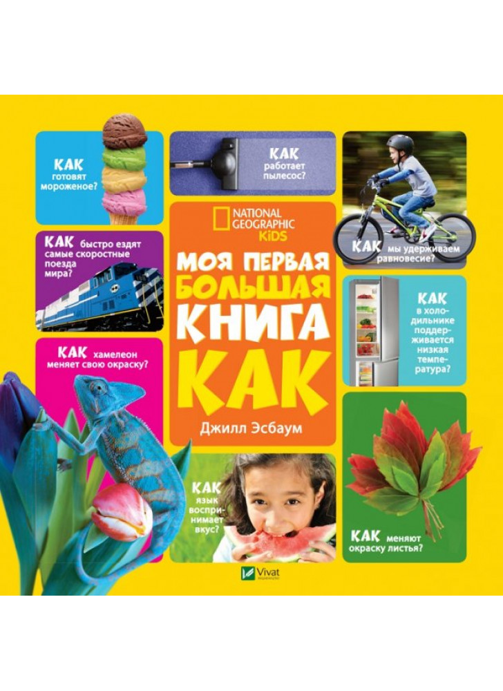 Моя первая большая книга Как