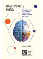 Пластичность мозга. Потрясающие факты о том, как мысли способны менять структуру и функции нашего мозга