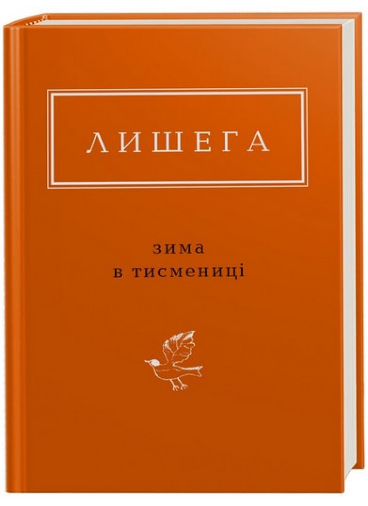 Зима в Тисмениці