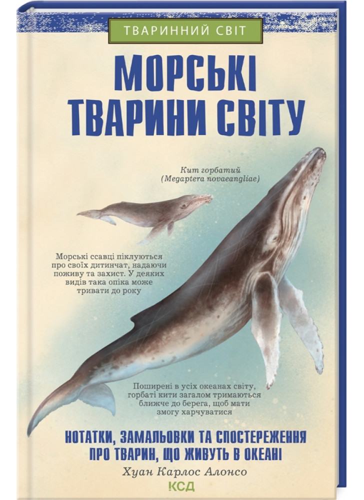 Морські тварини світу