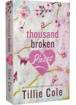 A Thousand Broken Pieces
