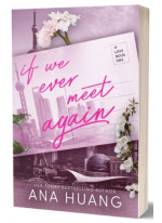 If We Ever Meet Again