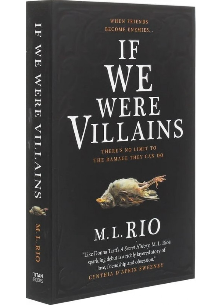 If We Were Villains