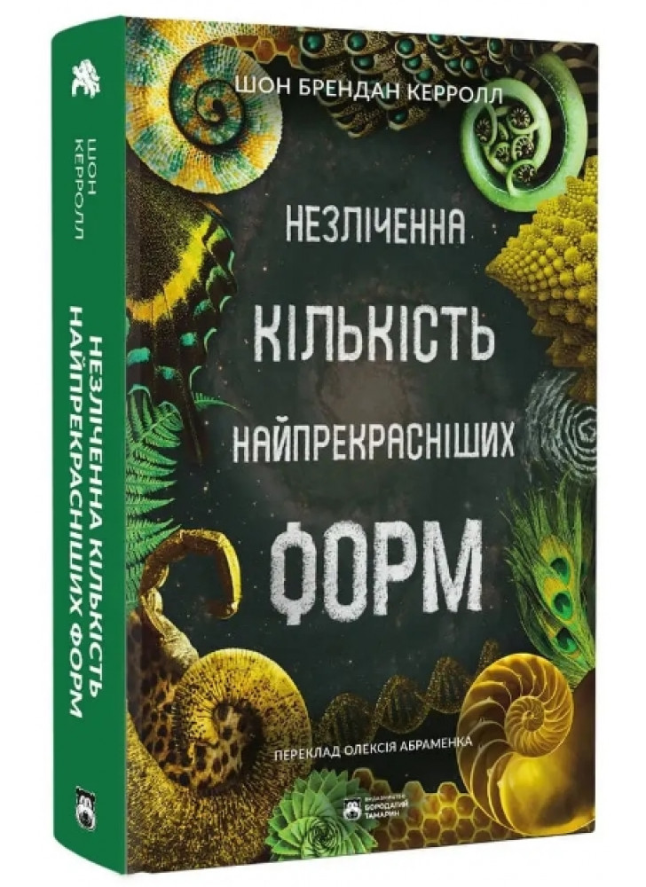 Незліченна кількість найпрекрасніших форм