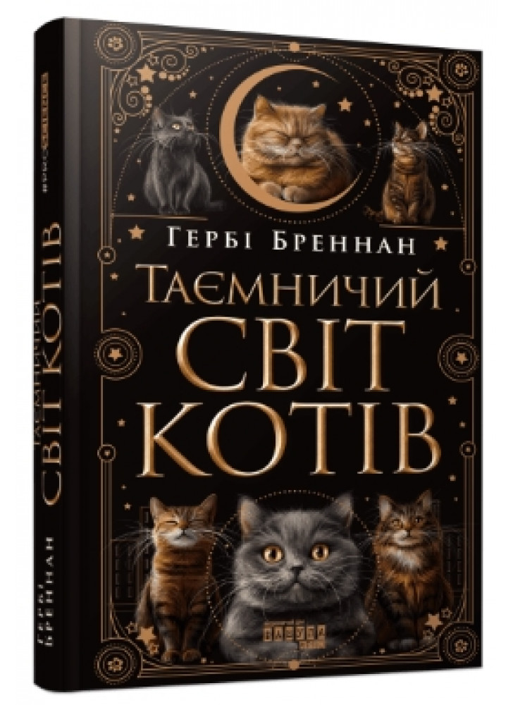 Таємничий світ котів