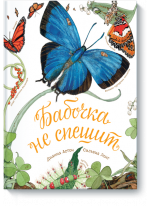 Бабочка не спешит