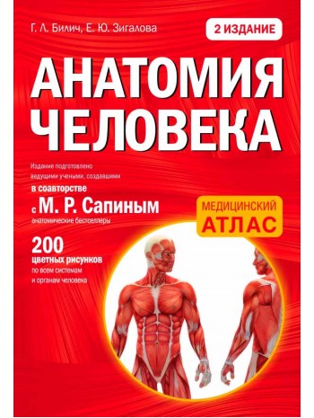 Анатомия человека. 2-е издание книга купить