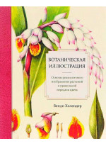 Ботаническая иллюстрация