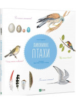 Дивовижні птахи