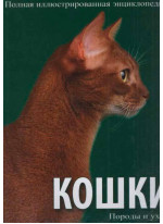 Кошки