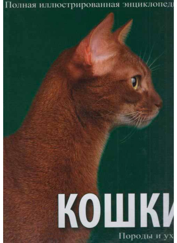 Кошки