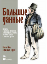 Большие данные. Принципы и практика построения масштабируемых систем обработки данных