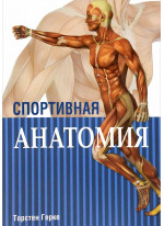 Спортивная анатомия