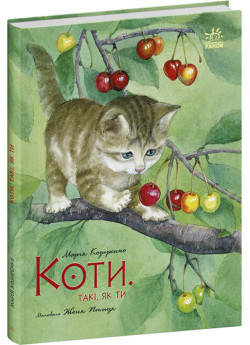 Коти. Такі, як ти