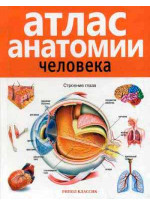 Атлас анатомии человека