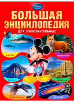 Большая энциклопедия для любознательных (большой формат)