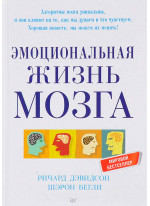 Эмоциональная жизнь мозга