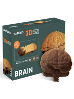 Картонний конструктор "Cartonic 3D Puzzle BRAIN"