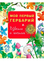 Мой первый гербарий. Цветы и листья