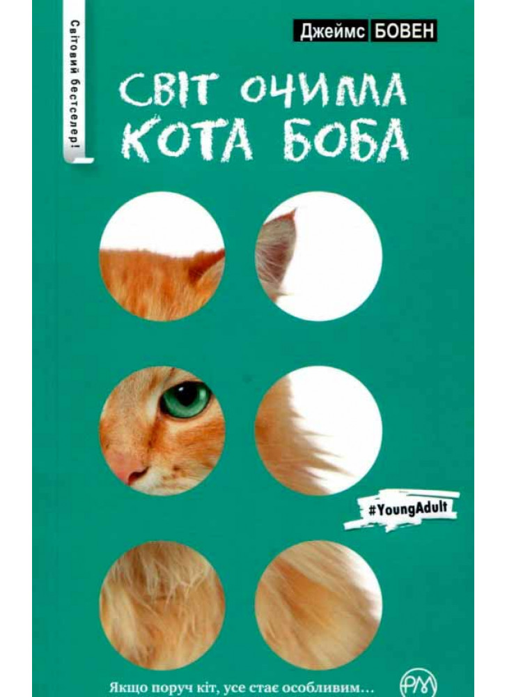 Світ очима кота Боба
