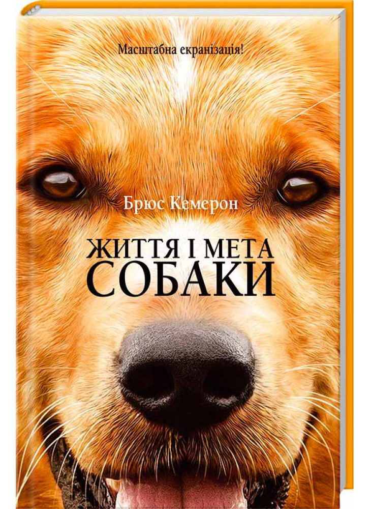 Життя і мета собаки