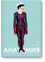 Анатомия