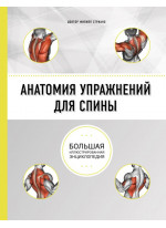 Анатомия упражнений для спины