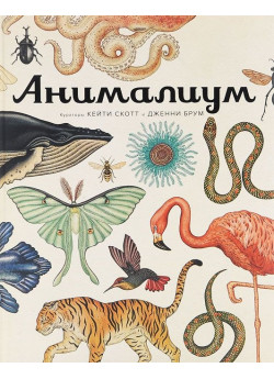 Анімаліум