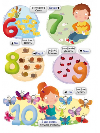 6