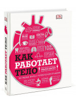 Как работает тело