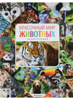 Красочный мир животных