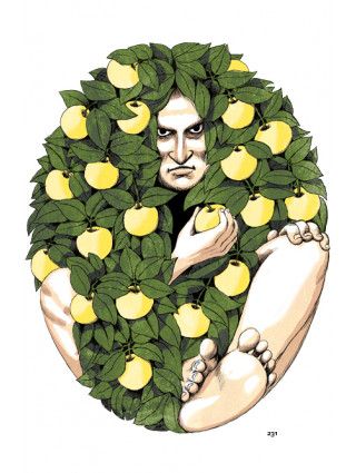 6