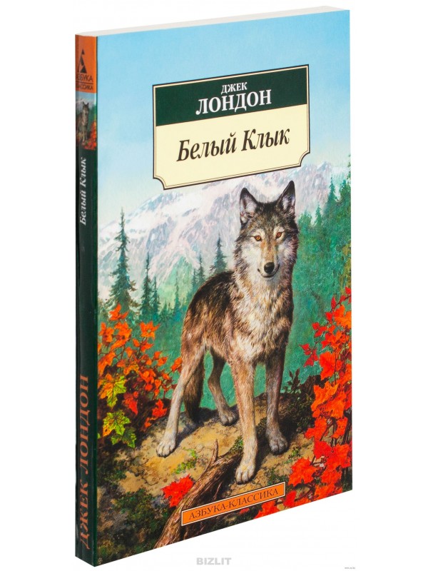 Джек лондон белый клык картинки из книги