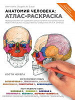 Анатомия человека. Атлас-раскраска