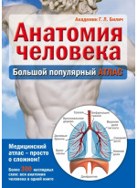 Анатомия человека. Большой популярный атлас