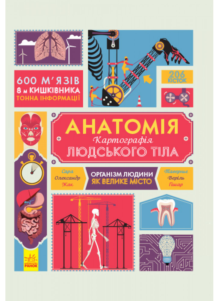 Анатомія. Картографія людського тіла