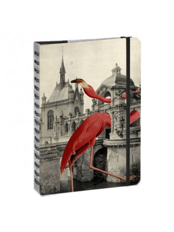 Блокнот Bohemia flamingo книга купить