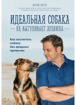 Идеальная собака не выгуливает хозяина. Как воспитать собаку без вредных привычек
