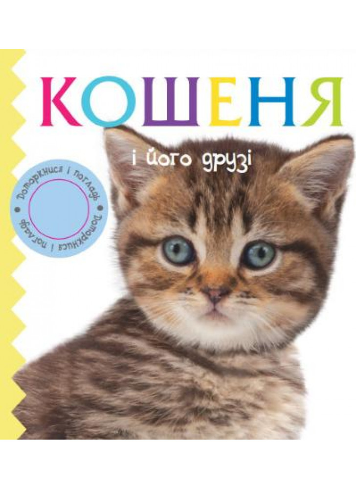 Кошеня і його друзі