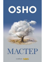 Мастер. О преображении интеллектуала в просветленного