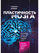 Пластичность мозга. Потрясающие факты о том, как мысли способны менять структуру и функции нашего мозга
