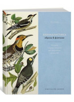Анималистика. Образы & фантазии. История изящных искусств для творческих личностей Анималистика. Образы & фантазии. История изящных искусств для творческих личностей