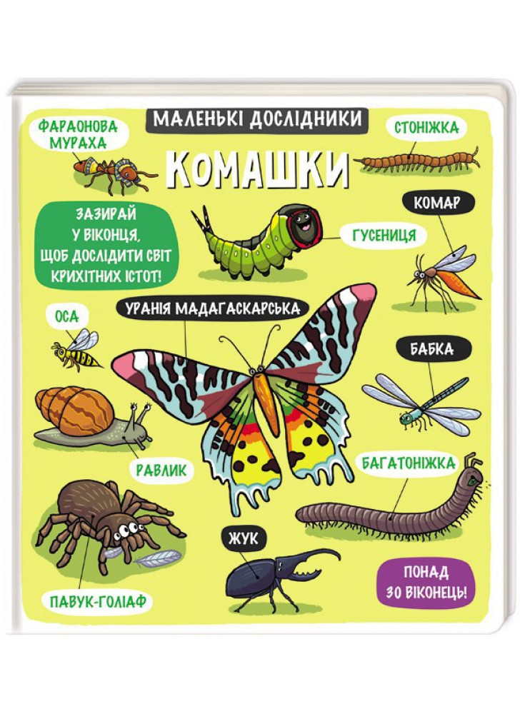 Маленькі дослідники. Комашки