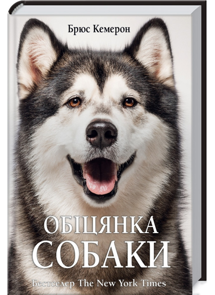 Обіцянка собаки