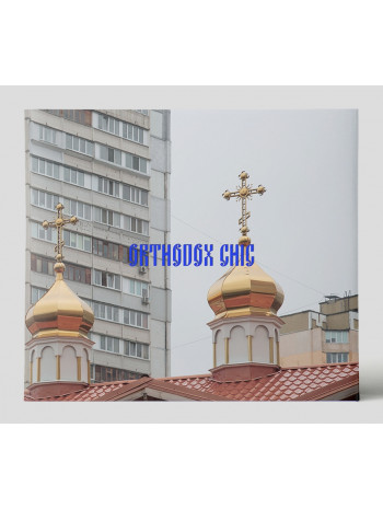 Orthodox Chic книга купить
