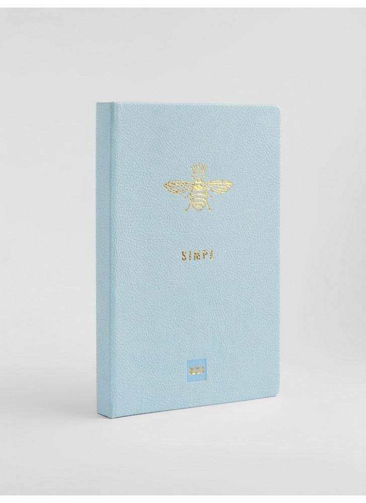 Планер Simpl